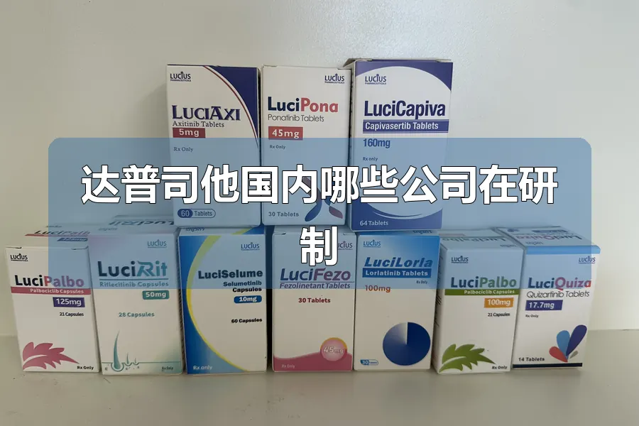 达普司他国内哪些公司在研制